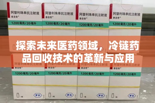 廊坊探索未来医药领域，冷链药品回收技术的革新与应用