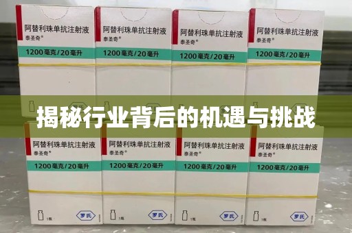 廊坊揭秘行业背后的机遇与挑战