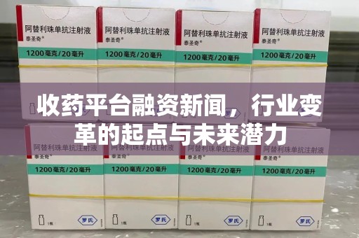 廊坊收药平台融资新闻，行业变革的起点与未来潜力