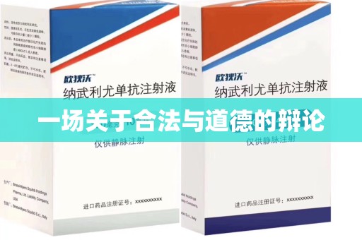 廊坊一场关于合法与道德的辩论