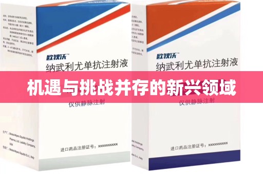 廊坊机遇与挑战并存的新兴领域