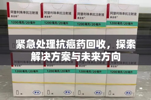 廊坊紧急处理抗癌药回收，探索解决方案与未来方向