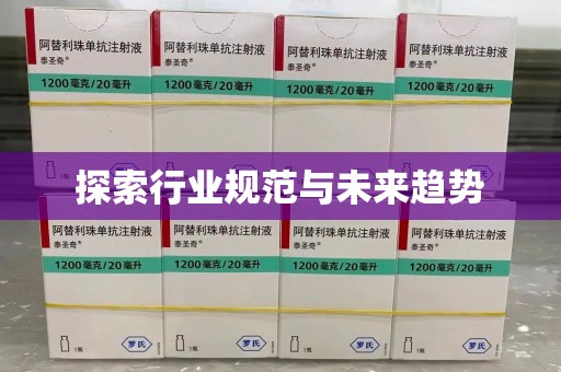 廊坊探索行业规范与未来趋势