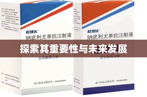 廊坊探索其重要性与未来发展