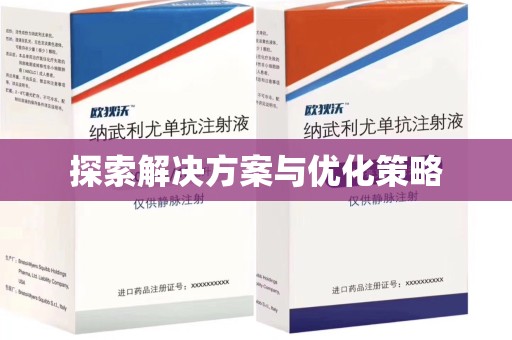 廊坊探索解决方案与优化策略