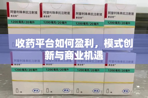 廊坊收药平台如何盈利，模式创新与商业机遇