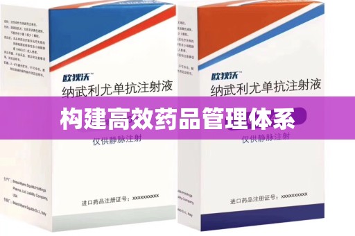廊坊构建高效药品管理体系