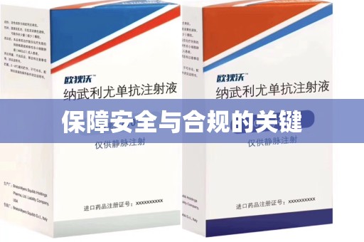 廊坊保障安全与合规的关键